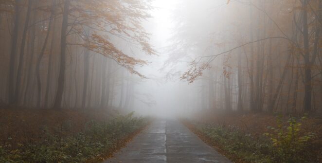 autumn, forest, path