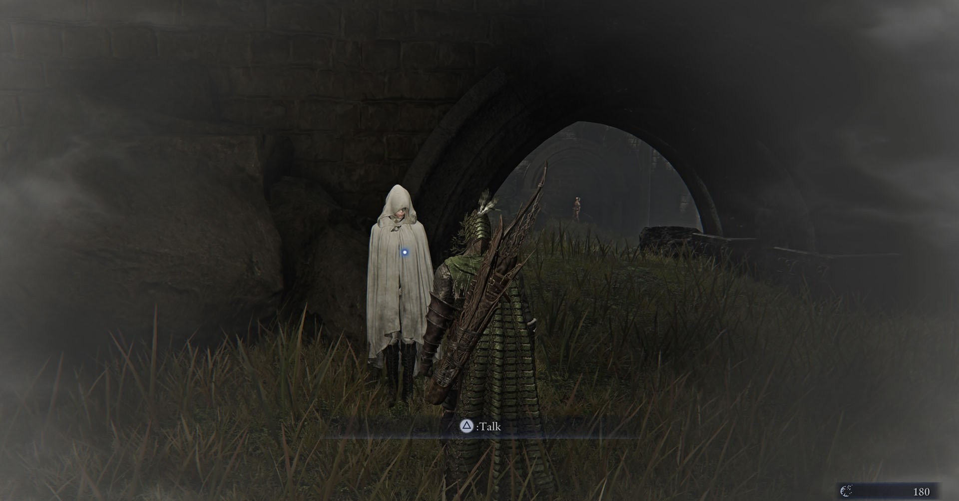 Uma captura de tela de Elden Ring Nightreign mostrando a sacerdotisa e a ironeye conversando com ela.