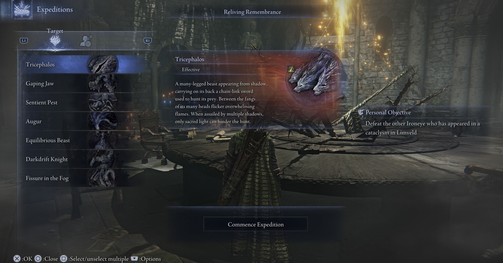 Uma captura de tela de Elden Ring Nightreign mostrando o menu Expeditions, com uma lista da maioria dos chefes que você pode lutar no jogo.