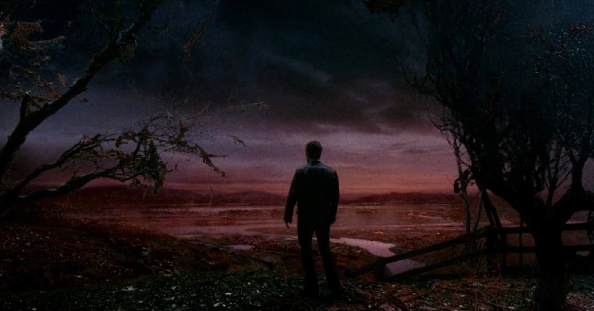 Uma ampla cena da paisagem fica vermelha como Ray, interpretada por Tom Cruise, olha por um campo de vegetação alienígena no cinema de 2005 War of the Worlds.