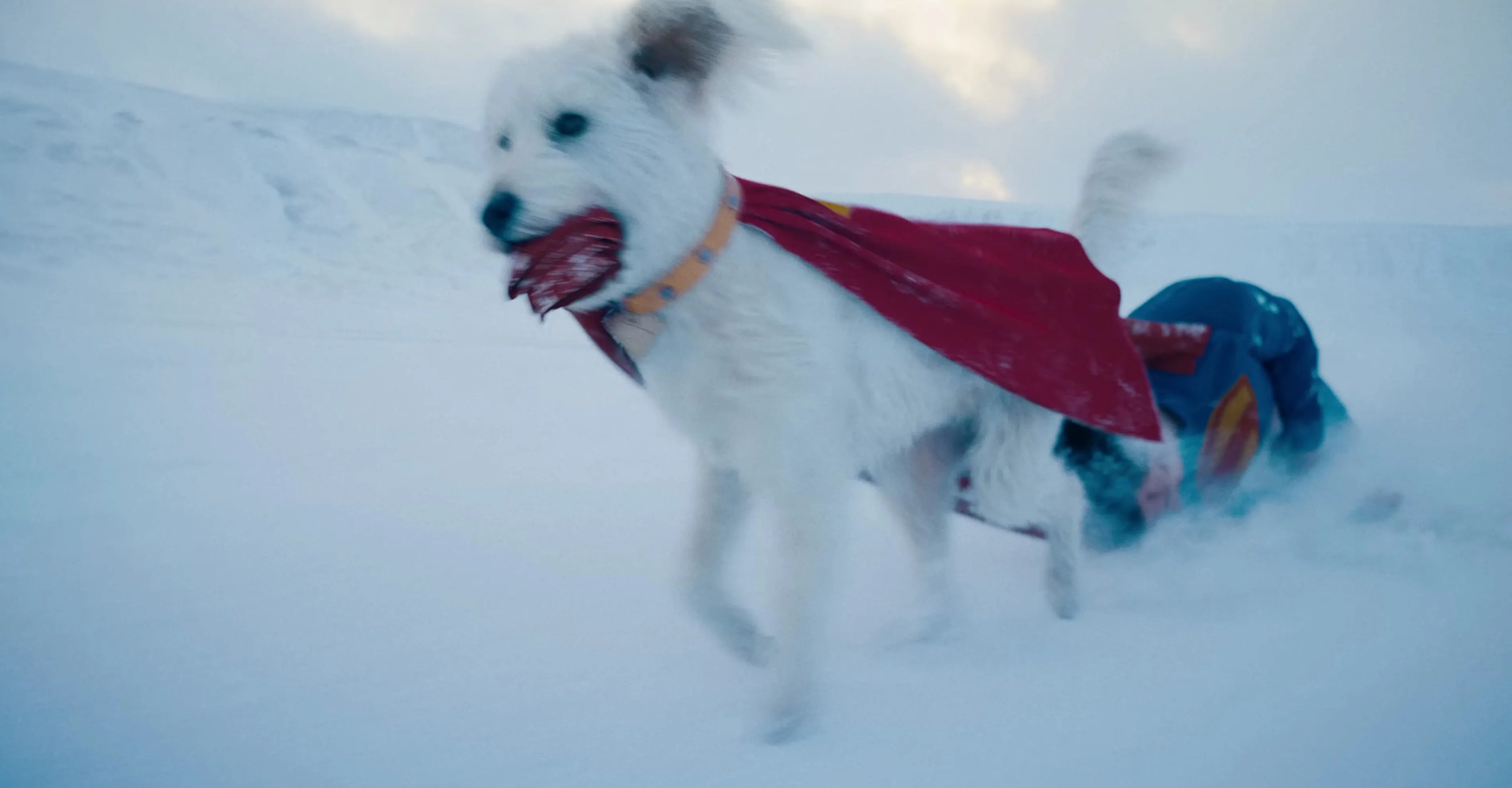 Krypto arrasta o Superman 2025 pelo gelo