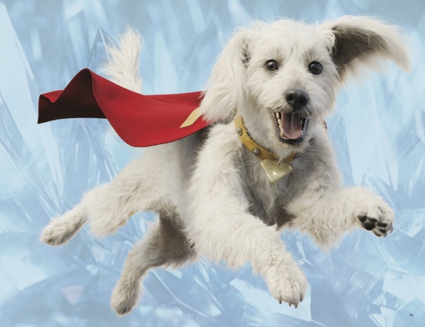Krypto sendo o menino mais bom e voando no alto do céu
