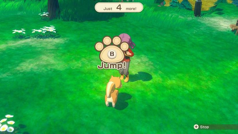 Imagem de Story of Seasons: Grand Bazaar. Ele mostra o personagem do jogador interagindo com um cachorro, com uma impressão de pata e o botão B interior. Pular! diz a redação embaixo da pata.