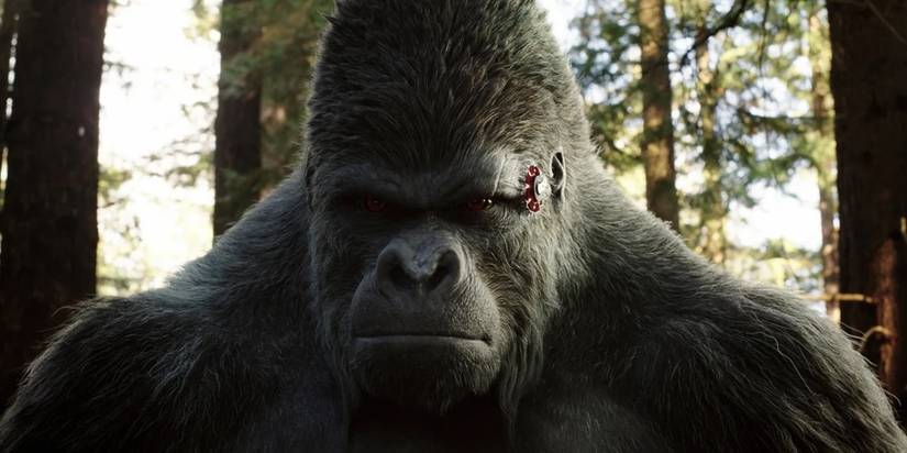Gorilla grodd no flash