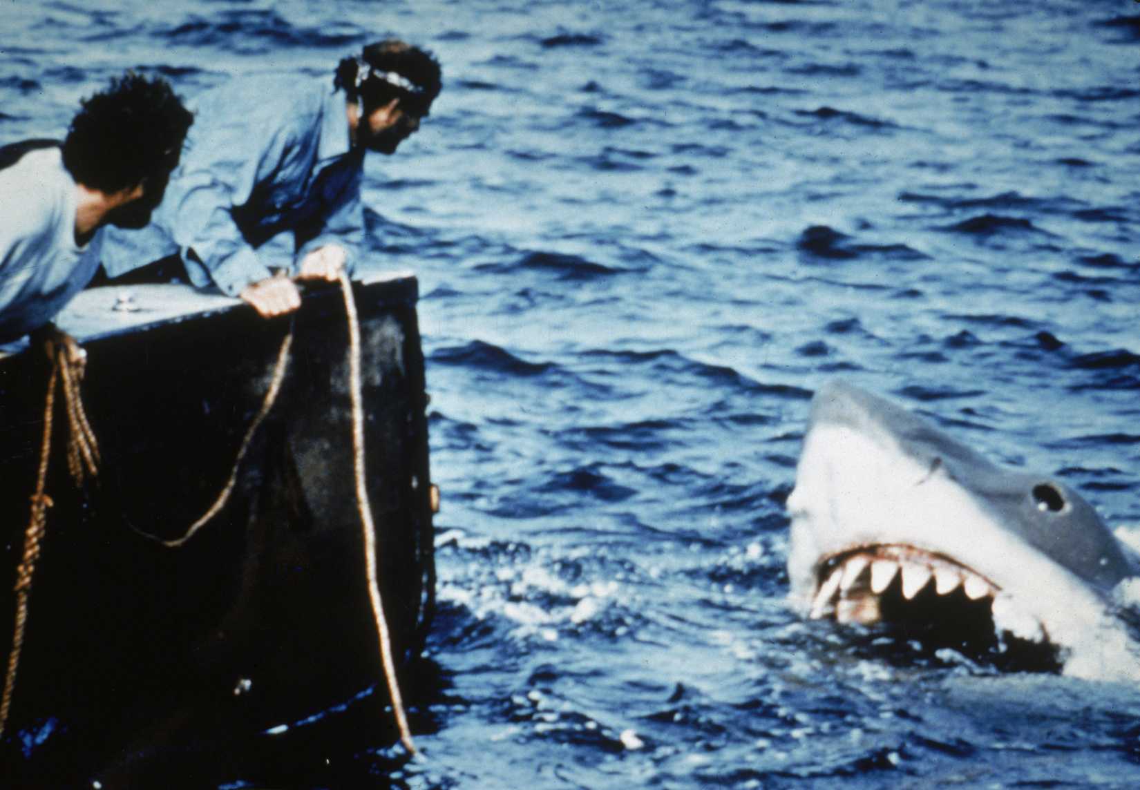 Hooper (Richard Dreyfuss) e Quint (Robert Shaw) se inclinam na parte de trás de seu pequeno barco de pesca, segurando cordas enquanto assistem a um grande tubarão branco gigante emergir da água em um imóvel do filme de 1975, Jaws, dirigido por Steven Spielberg