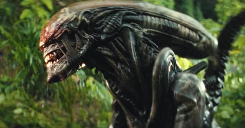 Um xenomorfo na terra alienígena
