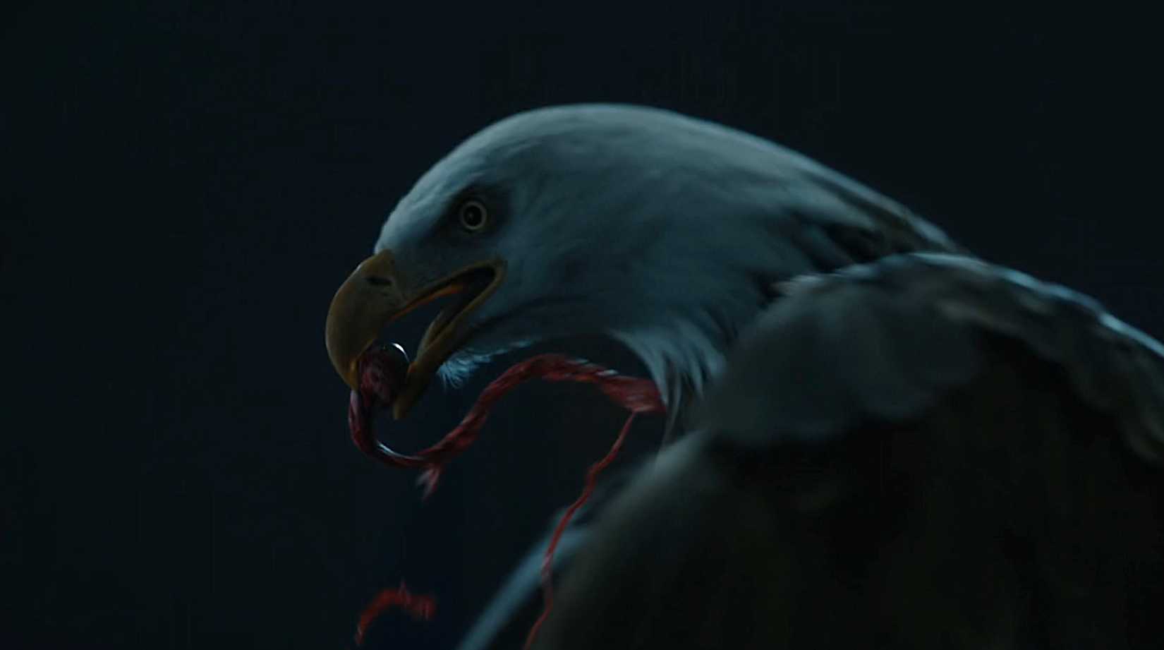 Eagly the Bald Eagle rasga o olho de um homem no pacificador da temporada 2 episódio 2