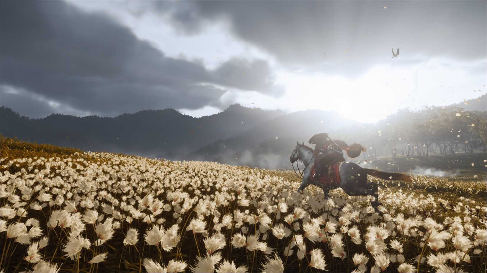 Atsu monta um cavalo por um campo de flores em fantasmas de Yotei.