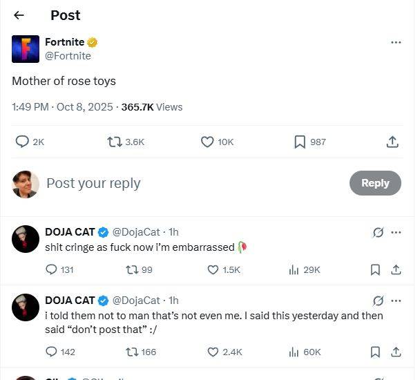 Uma captura de tela de uma postagem da conta Fortnite X onde parece fazer referência a um brinquedo adulto enquanto se passa por Doja Cat. 