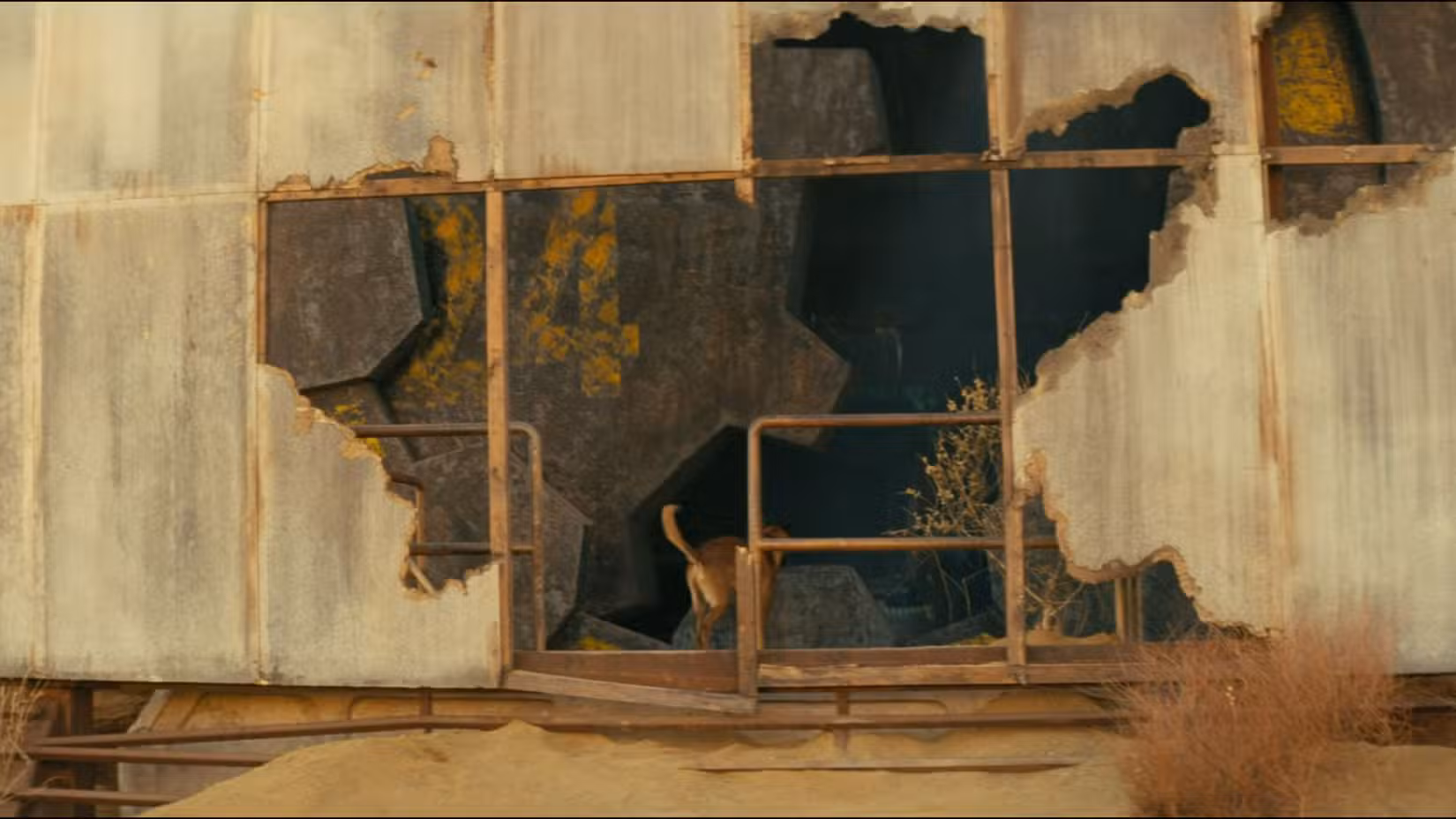 Dogmeat entrando no Vault 24 no episódio 1 da 2ª temporada de Fallout.