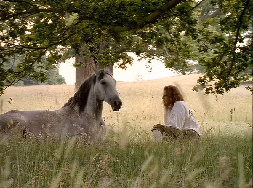 Gulliver com um cavalo