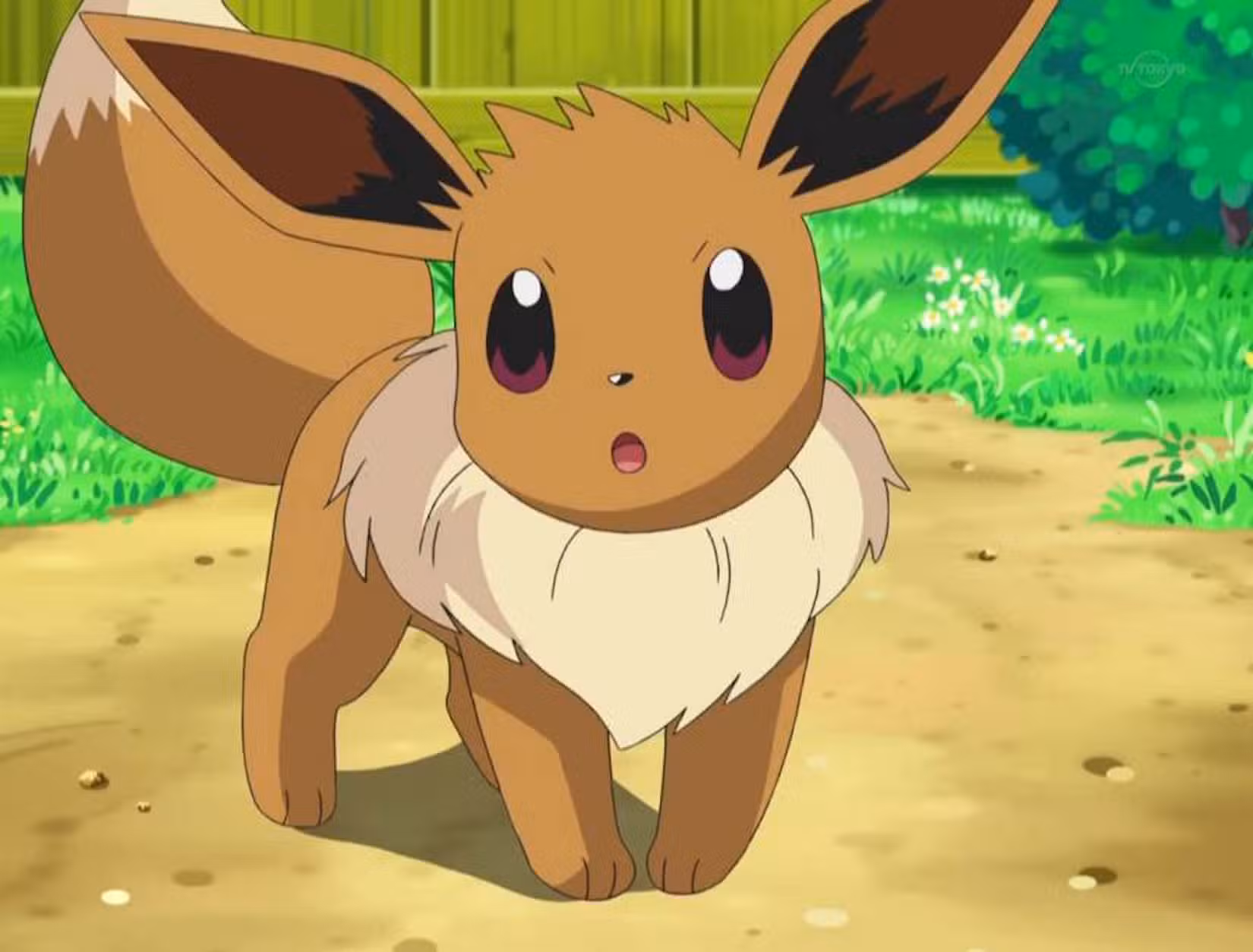 surpreso eevee