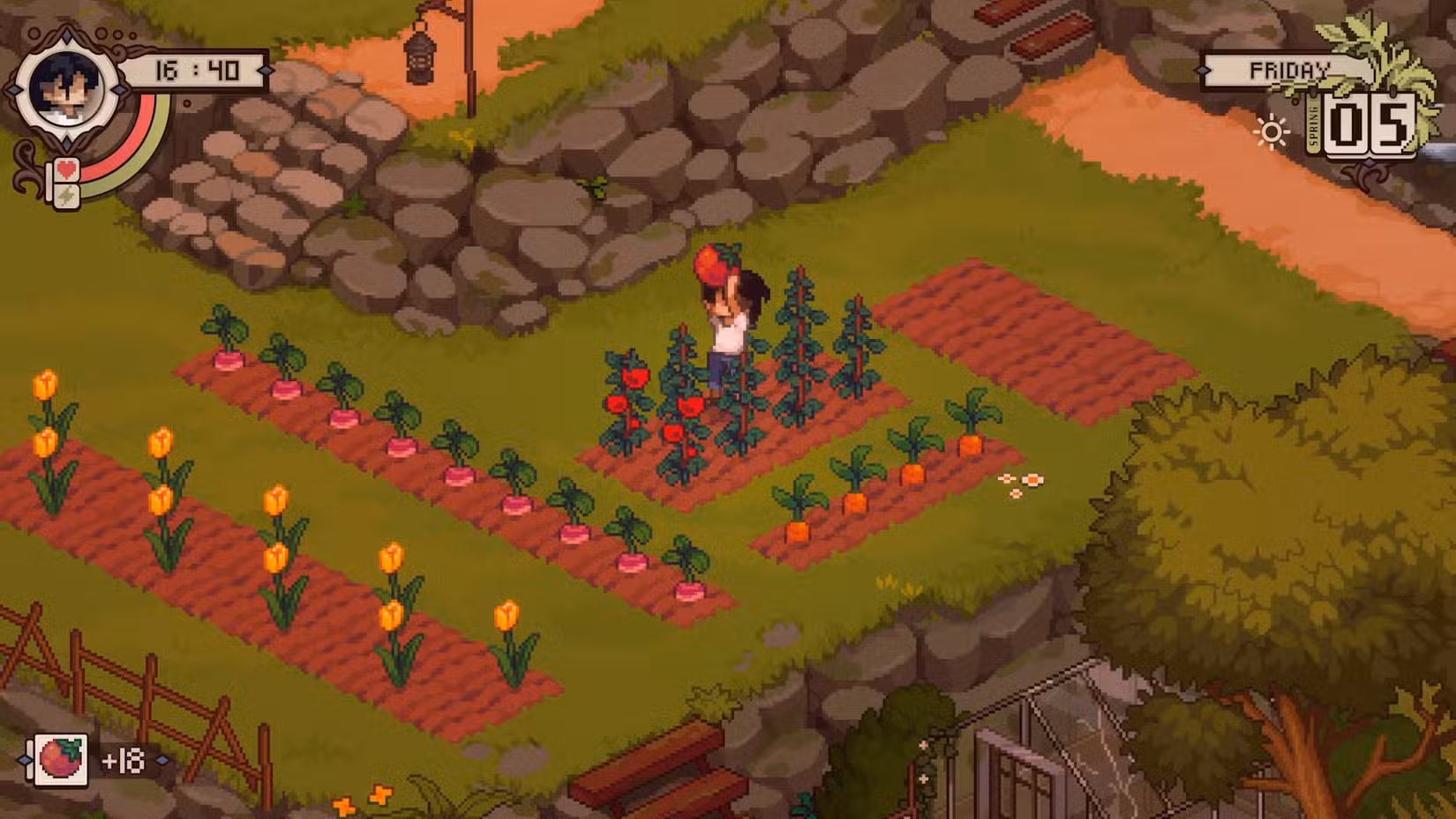 O protagonista de Grave Seasons colhendo tomates 