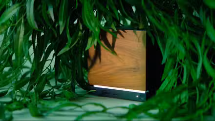 Uma Máquina a Vapor com painel frontal em cor de madeira, envolto em vegetação. 