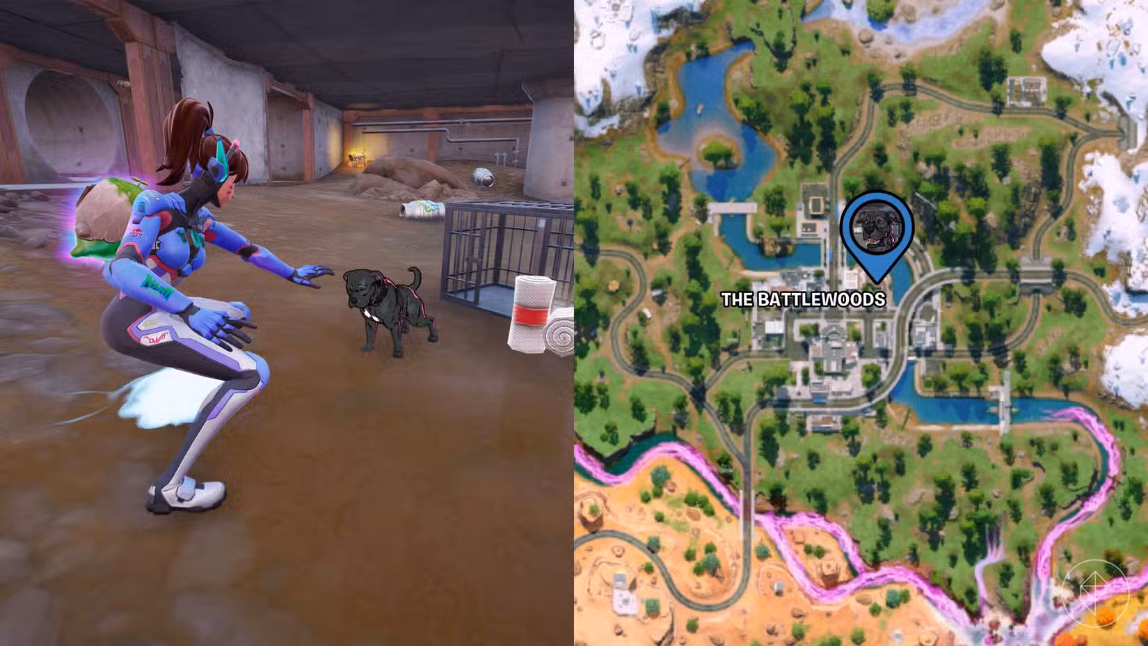 D.va, um personagem jogável de Overwatch, inclinando-se para acariciar o cachorro de John Wick, um pitbull preto, em Fortnite.