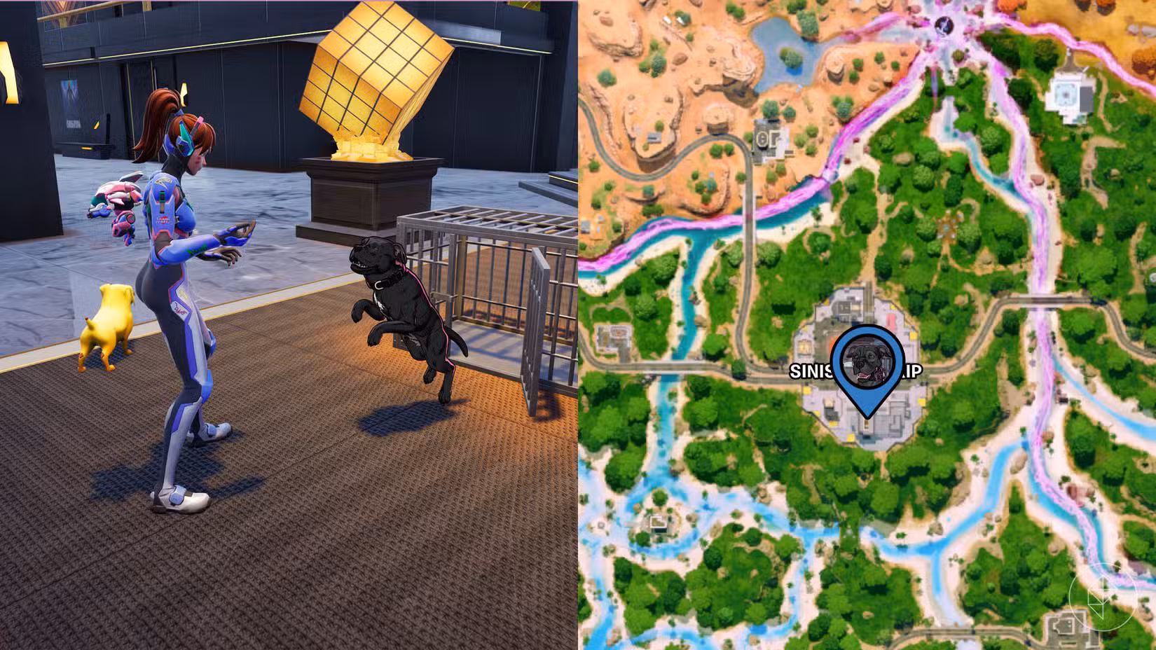 D.va, uma garota de macacão de Overwatch, parada na frente de John Wick's Dog, um pitbull preto, em Fortnite.
