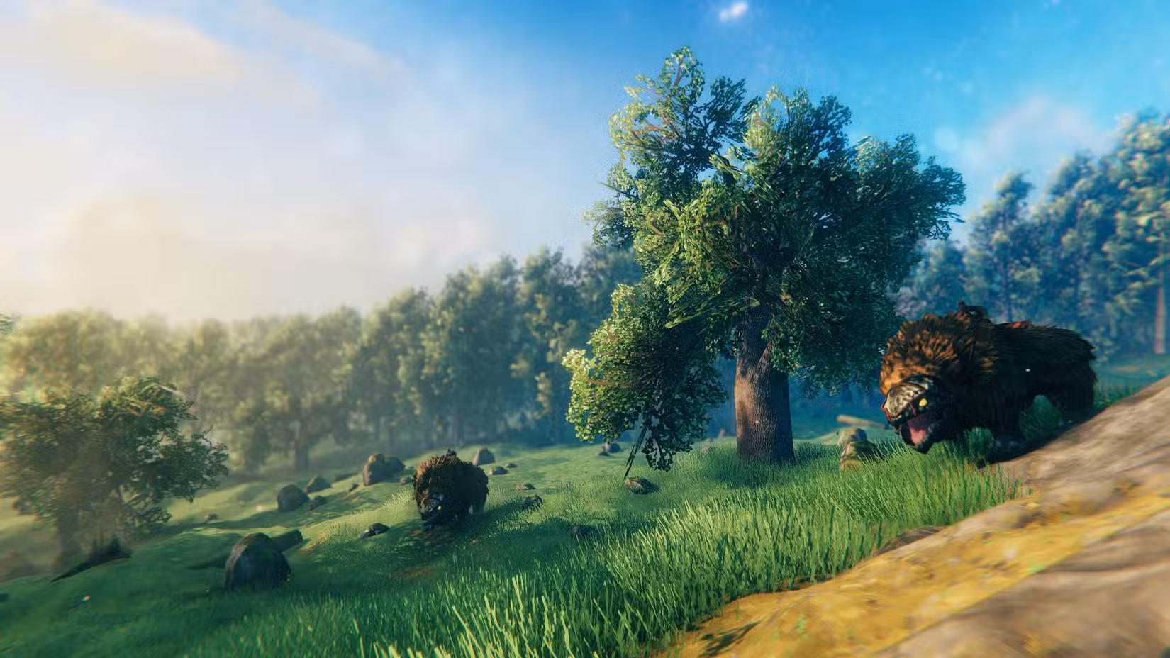 Uma campina com alguns animais em Valheim.