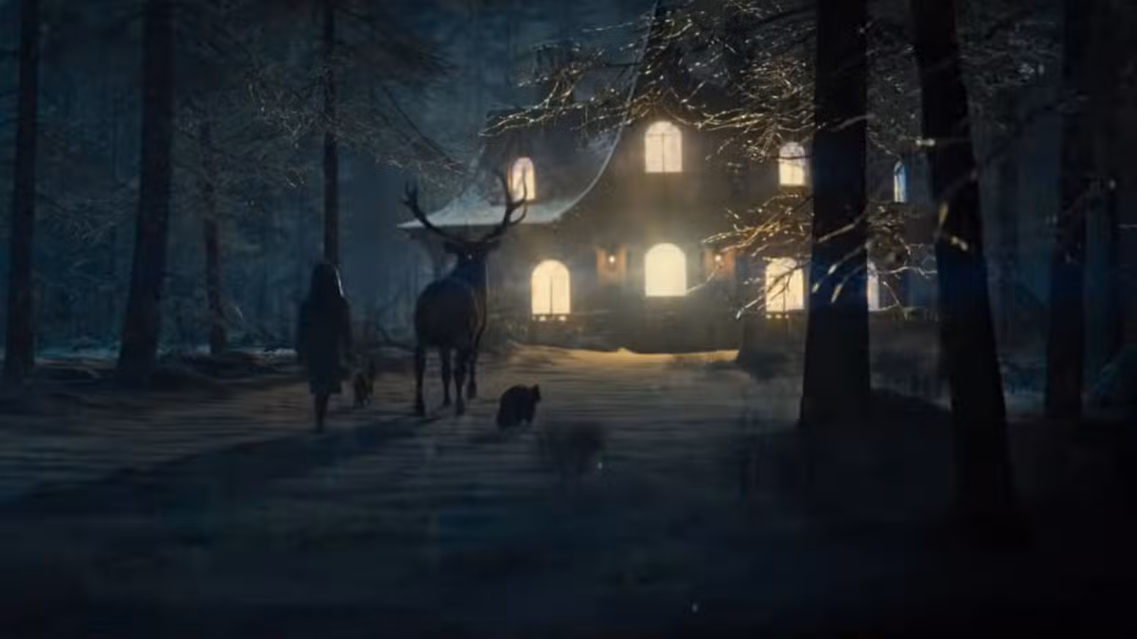 Um personagem misterioso e três animais se aproximam de uma casa muito iluminada no Disclosure Day
