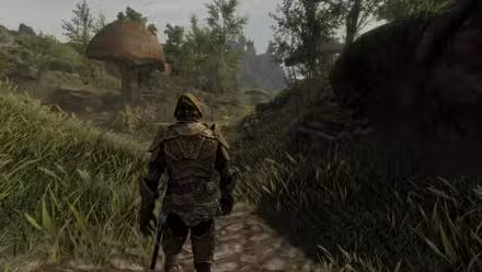 Um jogador caminha por um campo em Skywind, o mod Morrowind para The Elder Scrolls V: Skryim
