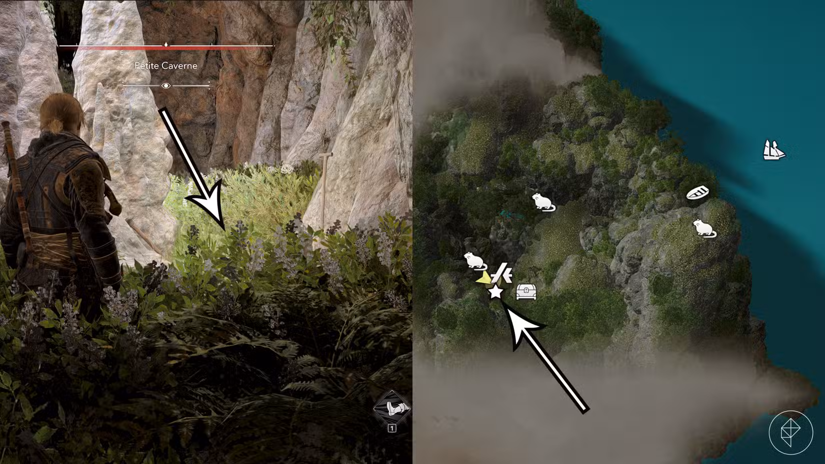 The Petite Caverne treasure location in Assassin's Creed Black Flag Resynced.
