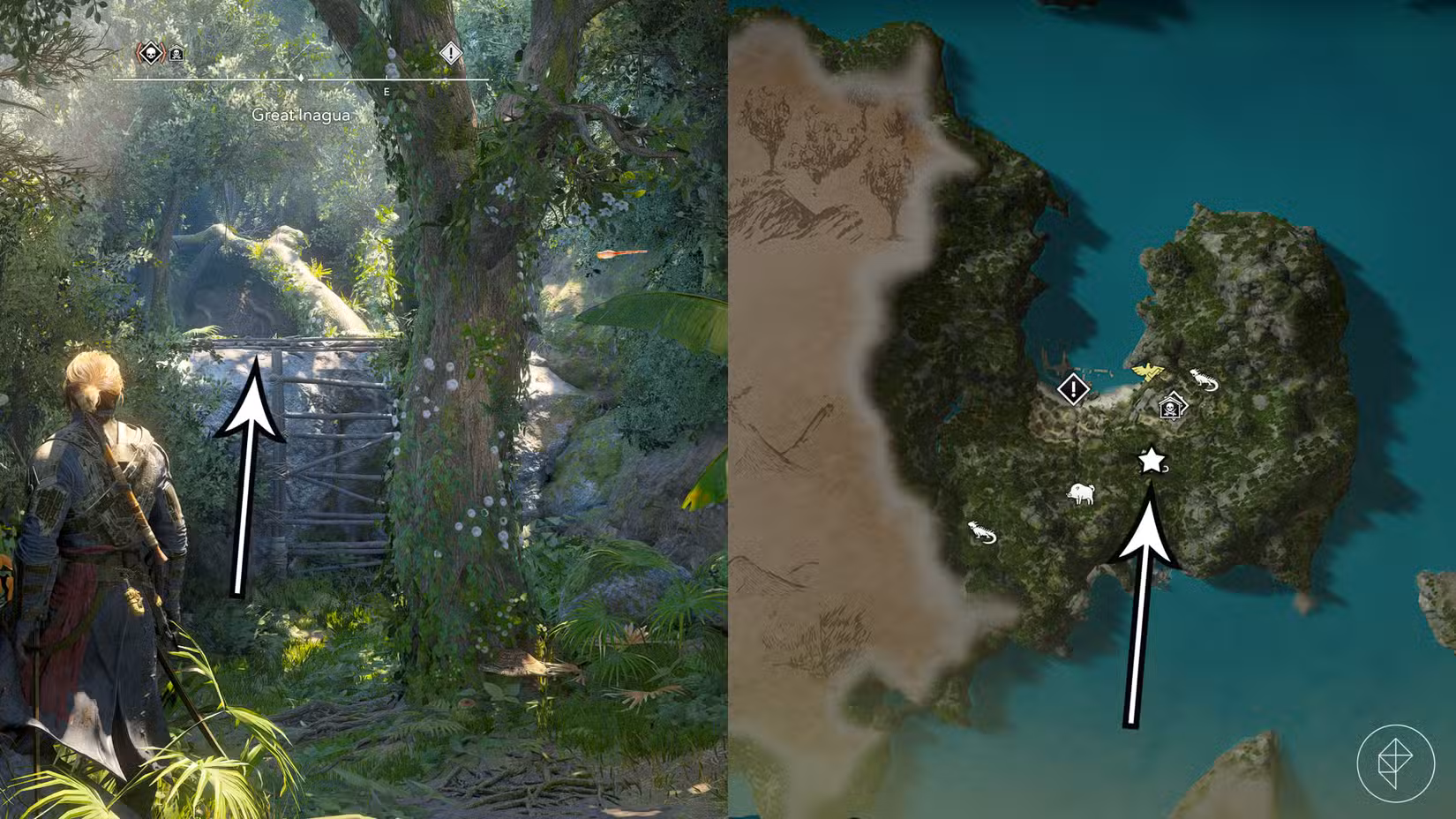 A localização da onça branca, necessária para digerir as peças do mapa em Assassin's Creed Black Flag Resynced.
