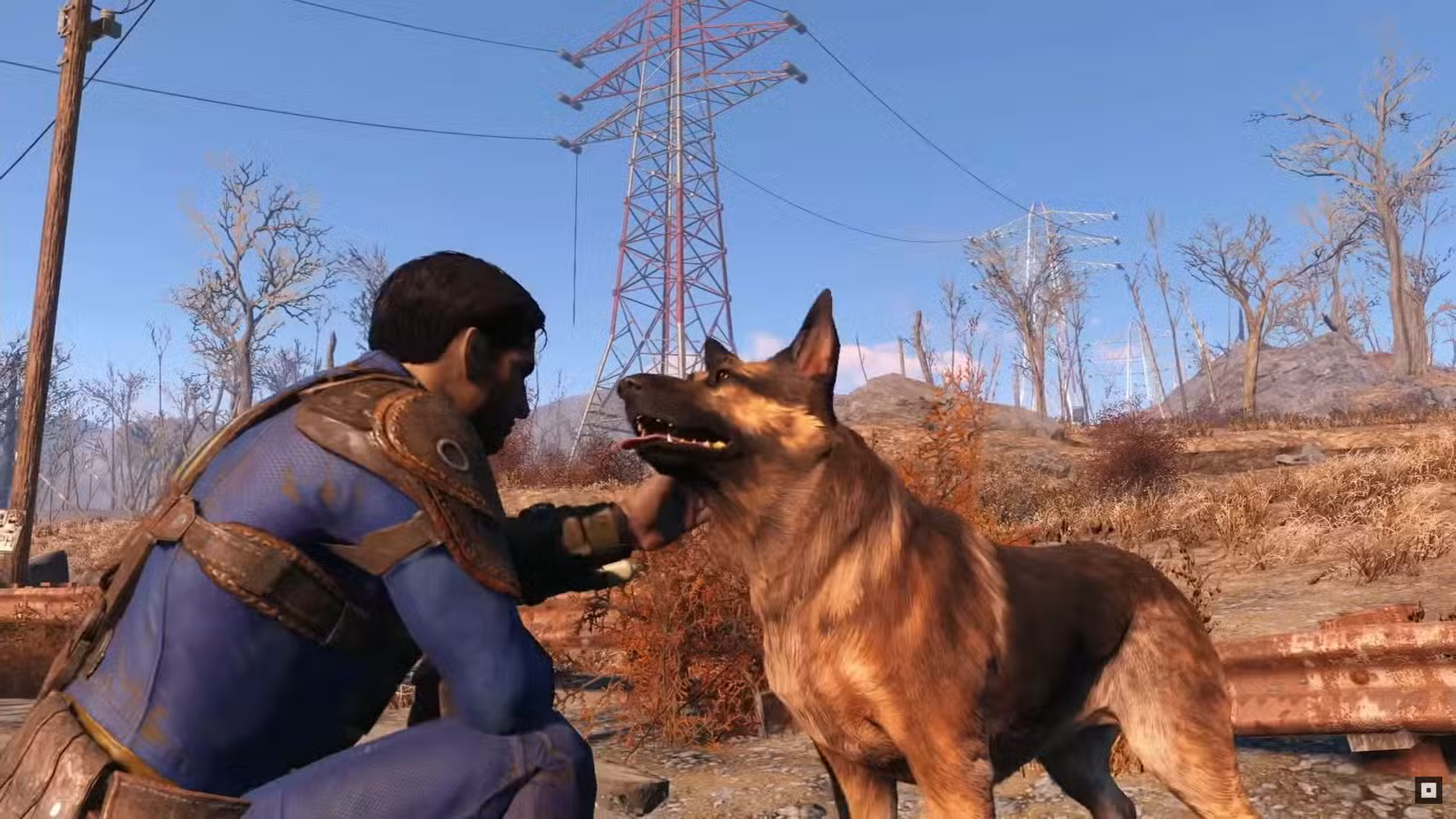 Carne de cachorro em Fallout 4.