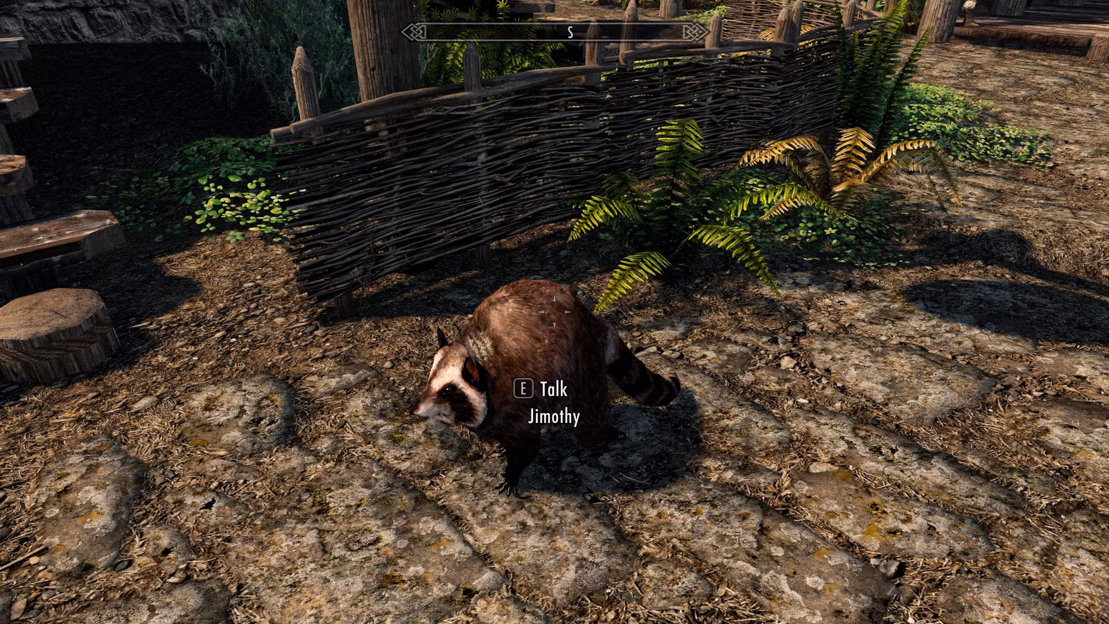Jimothy the Raccoon já está em Skyrim e Stardew Valley