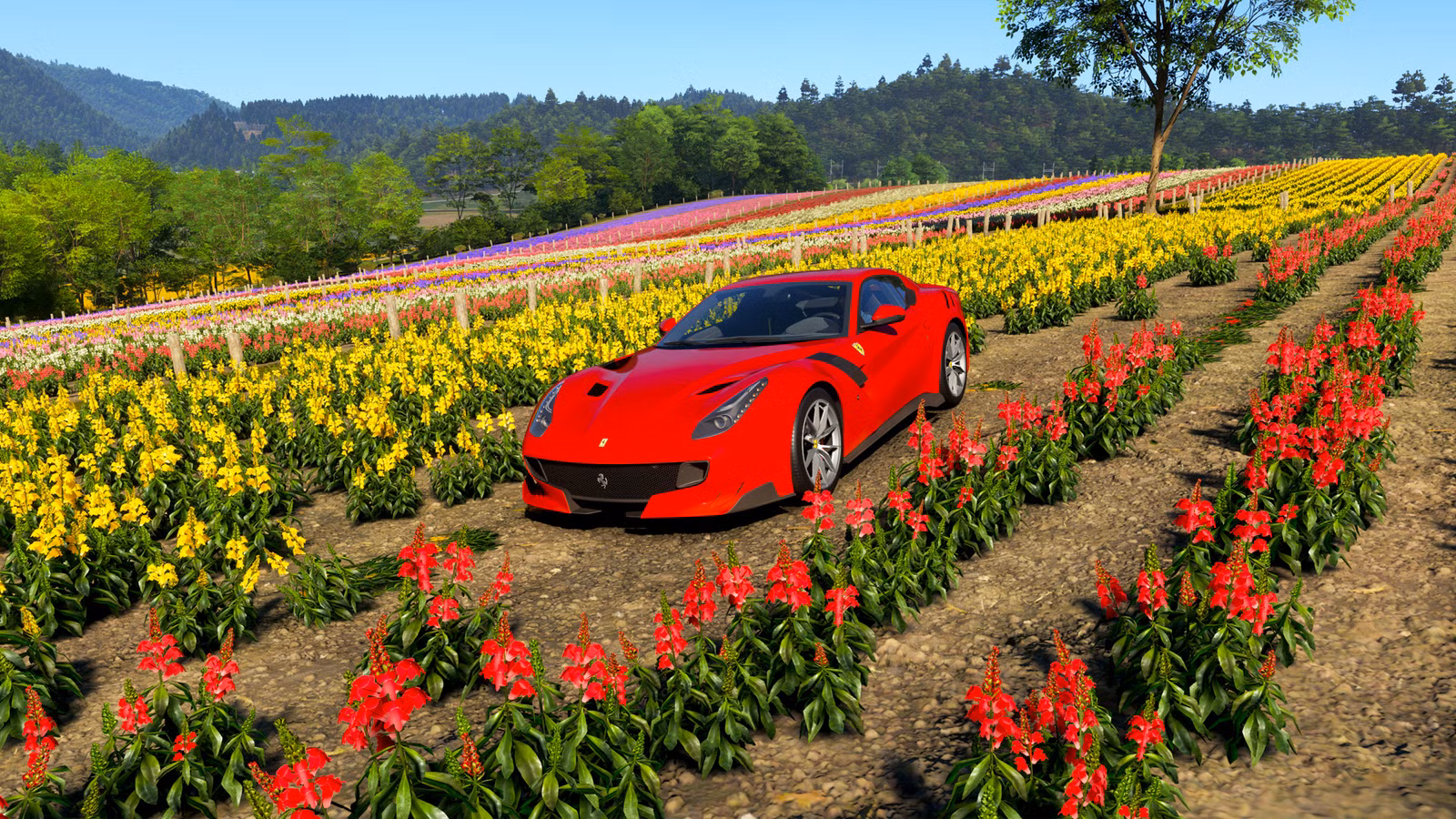 Localização de Shikisai-no-Oka no Forza Horizon 6.
