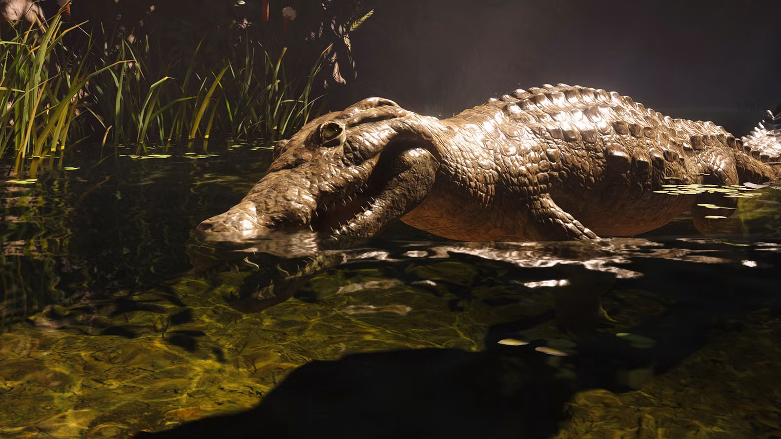 Onde encontrar couro de crocodilo em Assassin’s Creed Black Flag Resynced