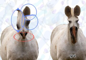 Horse Magnifier: The Full Horse chega ao Steam e vira o jogo mais curioso da semana