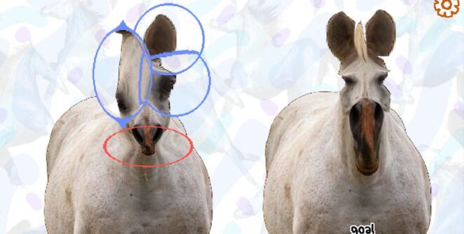 Horse Magnifier: The Full Horse chega ao Steam e vira o jogo mais curioso da semana