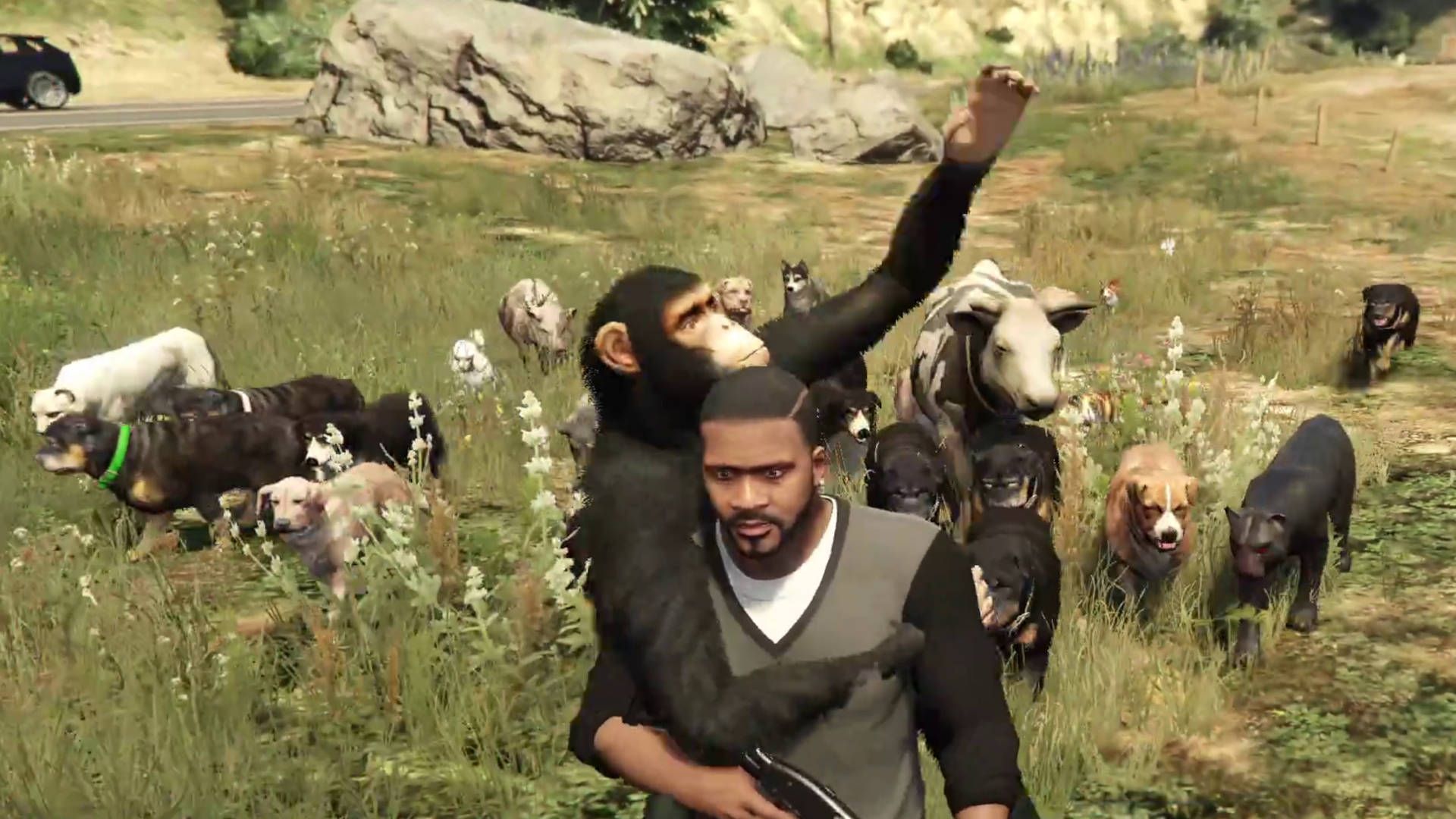 Mod de GTA 5 adiciona cachorros, gatos, vacas, leões e até um chimpanzé ao jogo