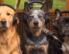 Warner Bros. Enfrenta Reação Negativa ao Usar IA em Vídeo de Cachorros para Promover The End of Oak Street