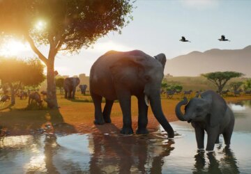 Planet Zoo 2 aposta em reservas naturais e visão em primeira pessoa